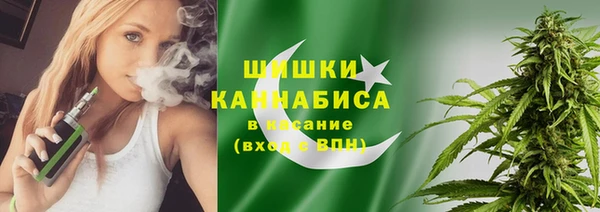 индика Абинск