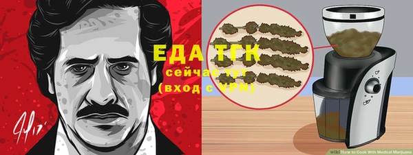 индика Абинск