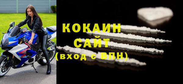 индика Абинск