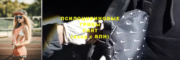 индика Абдулино