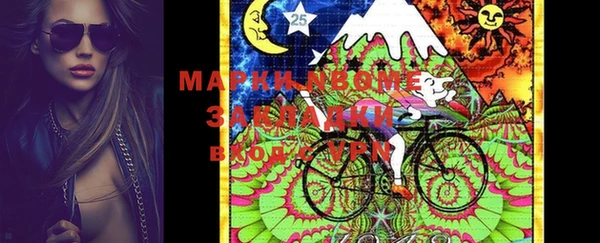 индика Абинск