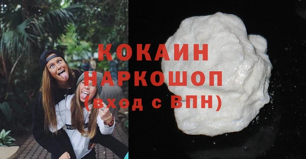 индика Абинск