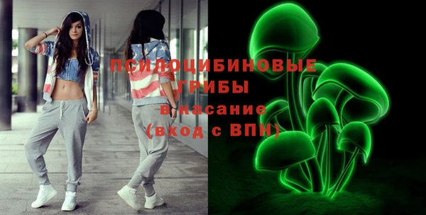 индика Абинск