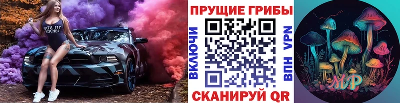 MEGA ссылки  Шумерля  Галлюциногенные грибы мухоморы  купить  сайты 