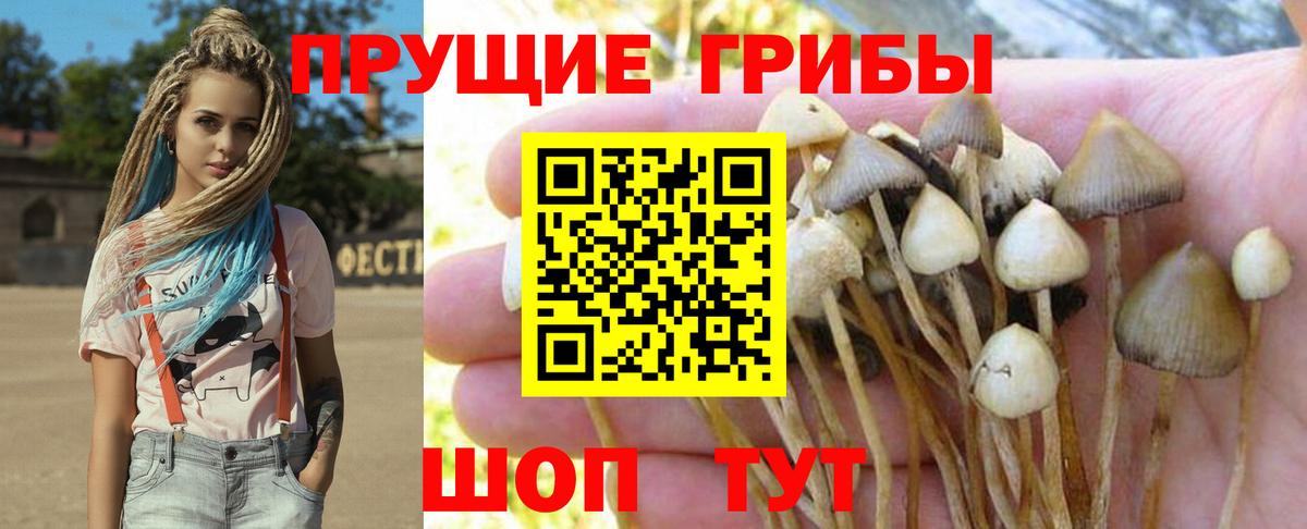 Галлюциногенные грибы мицелий Шумерля