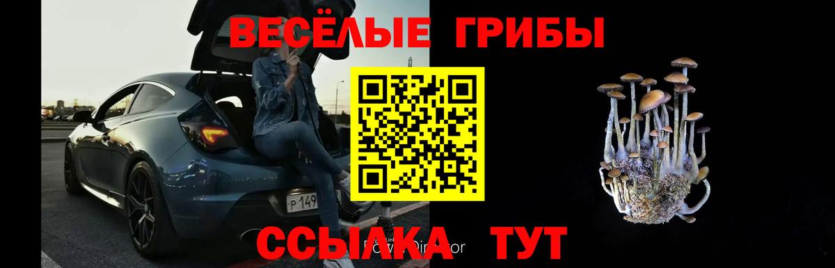 Галлюциногенные грибы MAGIC MUSHROOMS  Галлюциногенные грибы ЛСД  Вход с VPN  Шумерля 