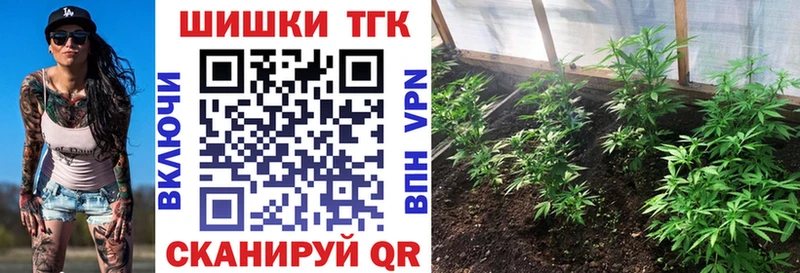 купить наркотики цена  Шумерля  Бошки Шишки семена 
